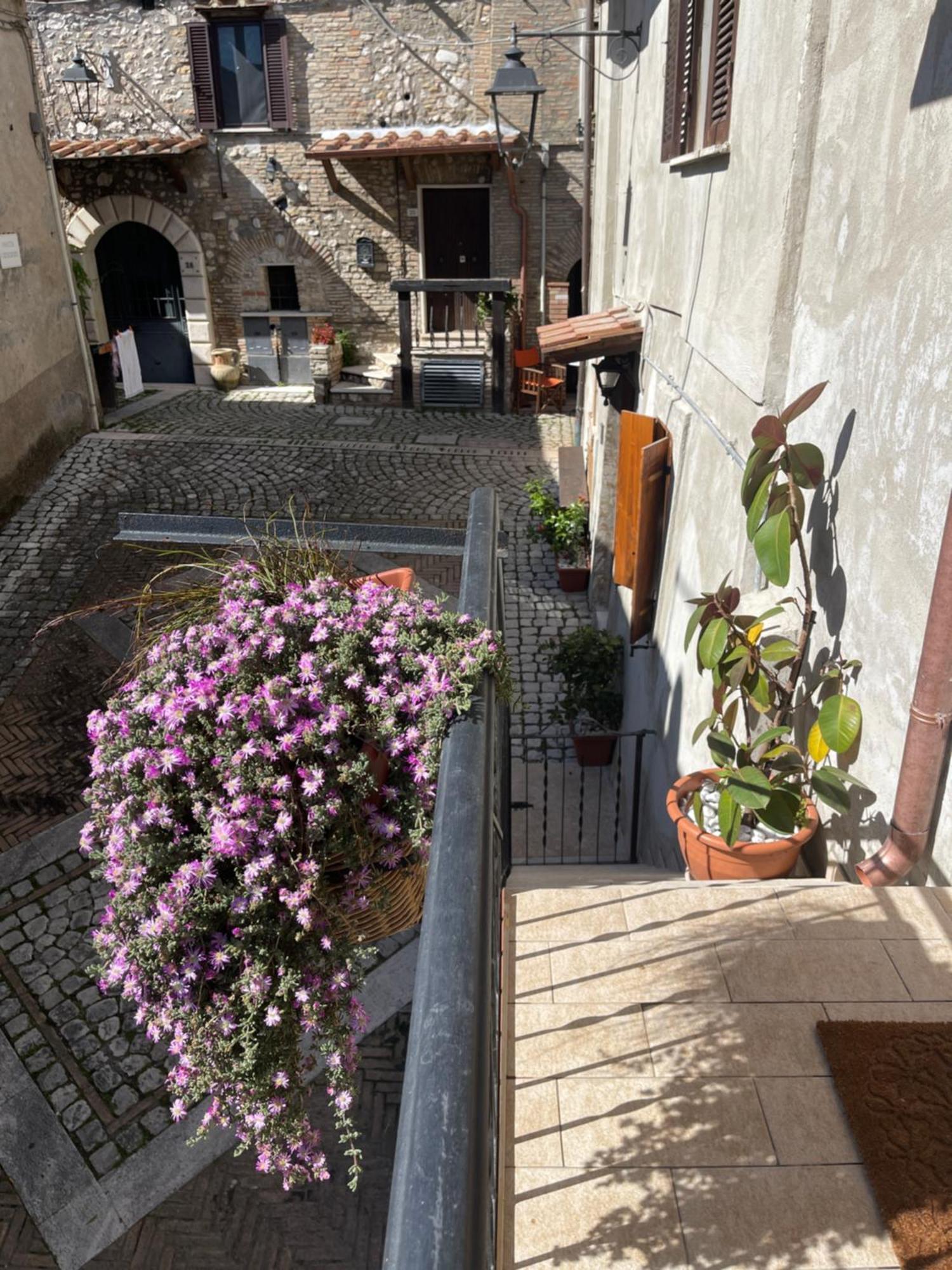 Il Borghetto Apartment Mentana Ngoại thất bức ảnh