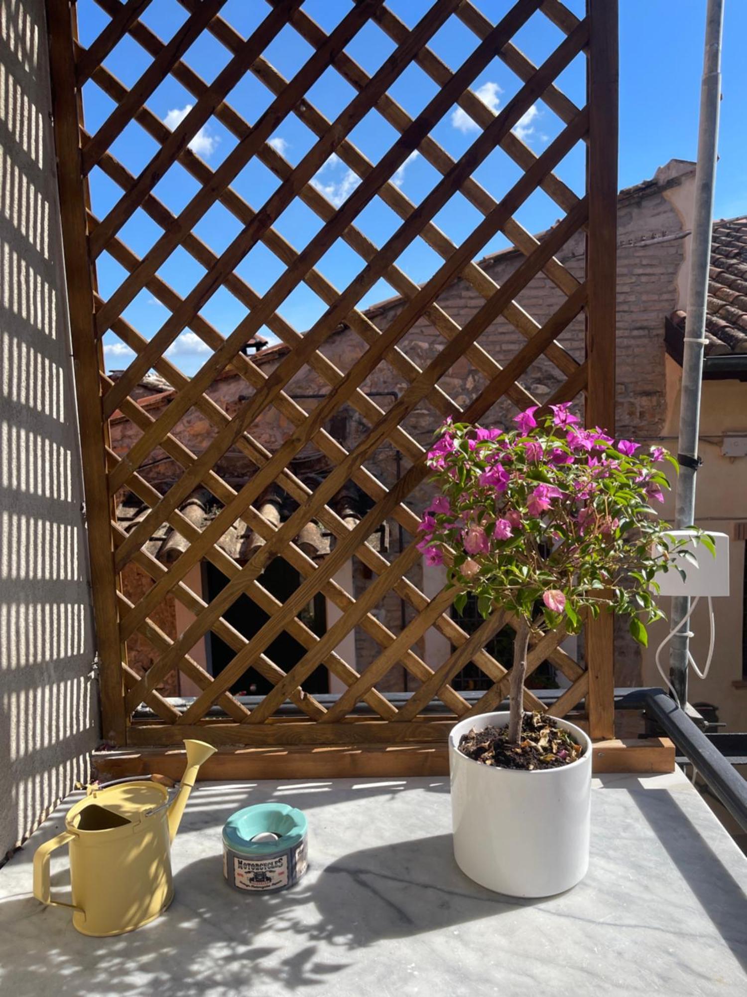 Il Borghetto Apartment Mentana Ngoại thất bức ảnh